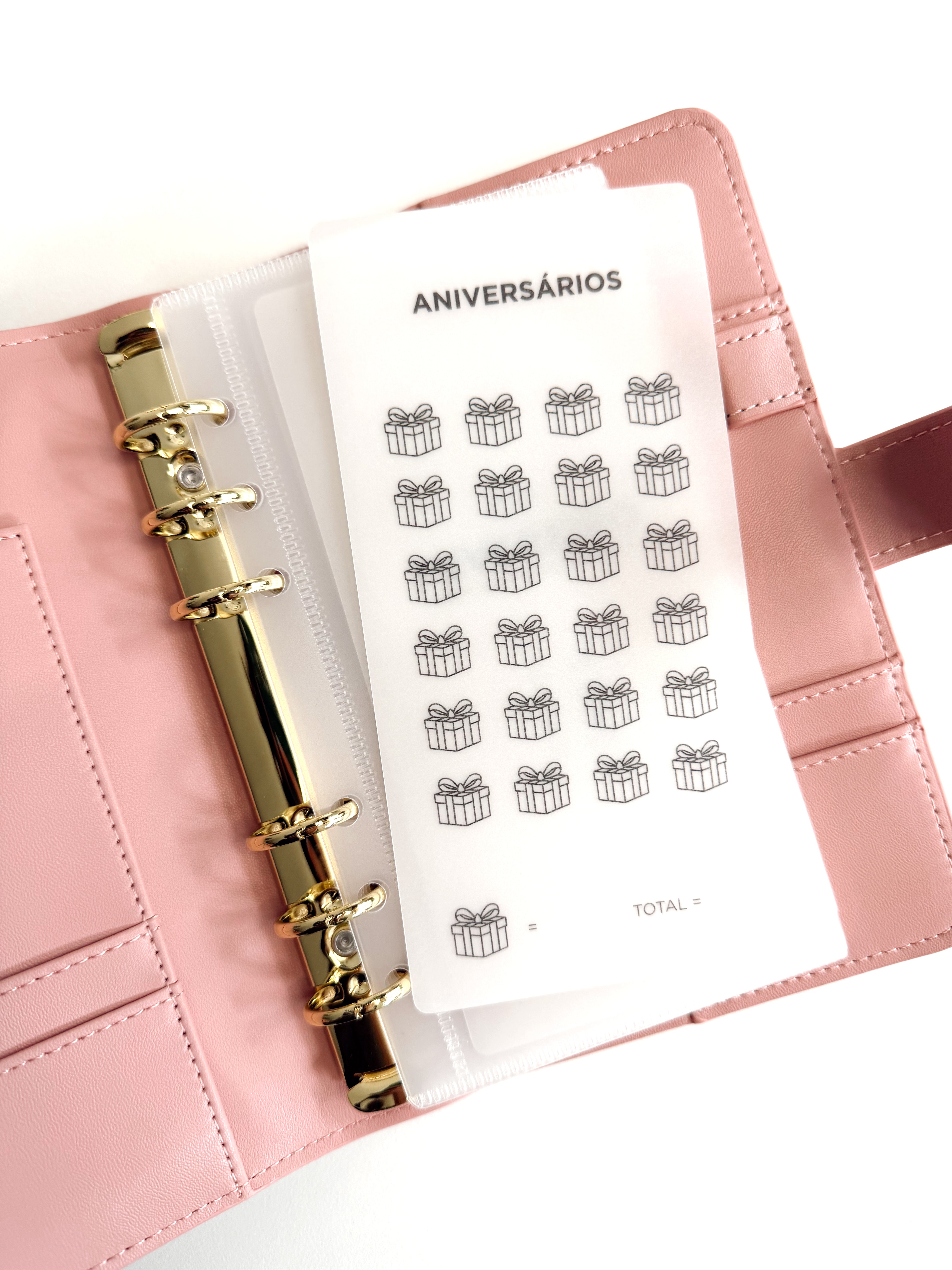 Dossier de Poupança Premium - Blush